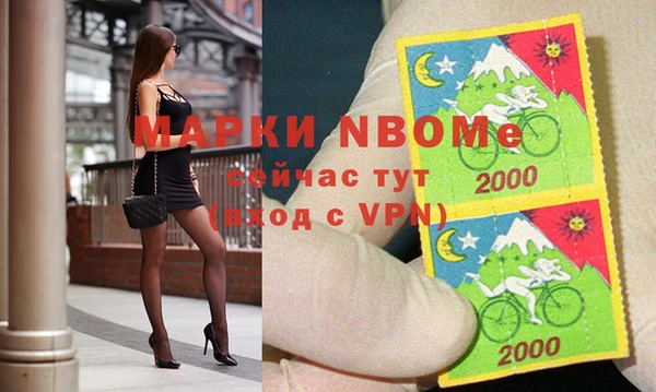 СК Горнозаводск