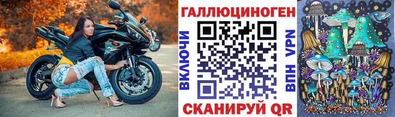 Купить  Кремёнки  Псилоцибиновые грибы прущие грибы 